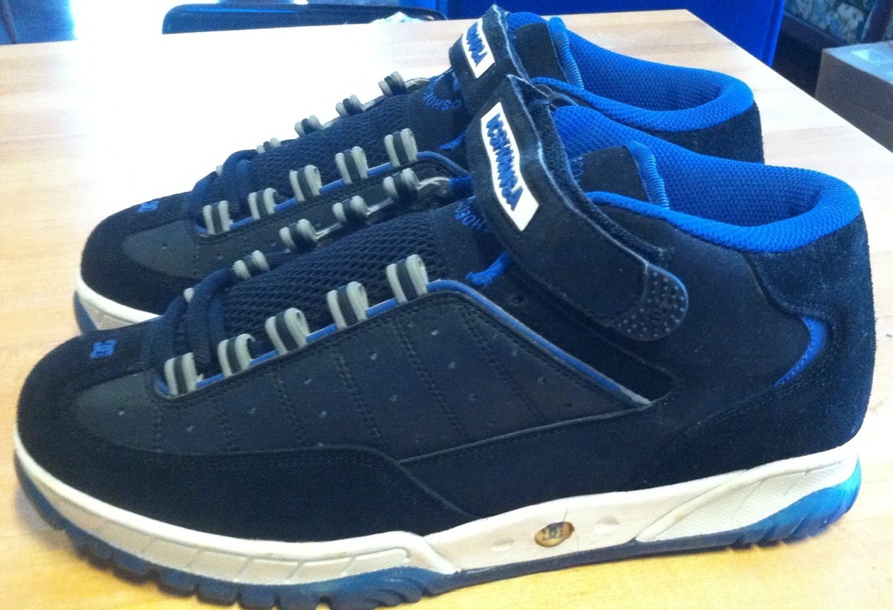 Dc Shoes Rick Howard 2 Samples Sz 9 
