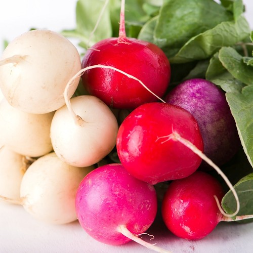 1 Lb Easter Egg Radish Seeds - Everwilde Farms Mylar Seed Packet - Picture 2 of 2