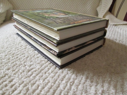 Lot #1 2 3 Beyond the Spiderwick Chronicles Tony DiTerlizzi Hardcover Complete - Bild 7 von 8