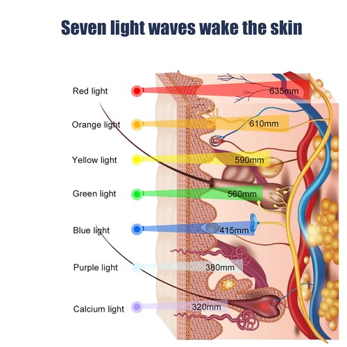 Detachable LED Photon Skin Rejuvenation Device Spectrum Anti Wrinkle Beauty NAU - Picture 17 of 20