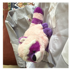 GANZ Webkinz Raccutie RARE Stuffed Animal