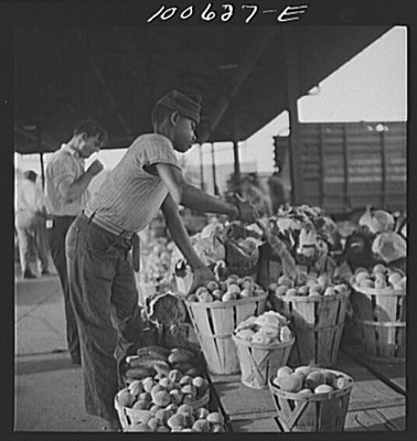 Washington, D.C. Whisking dust off peaches on sale at the farmers' market