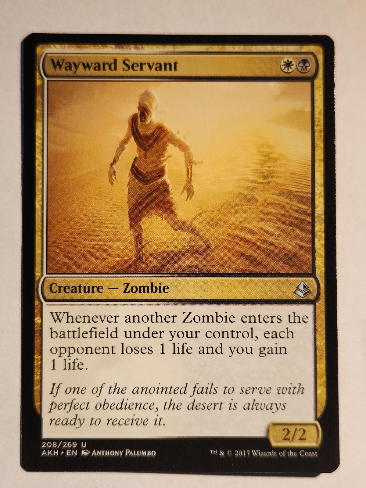 Wayward Servant 208 Amonkhet Magic: The Gathering Uncommon MP