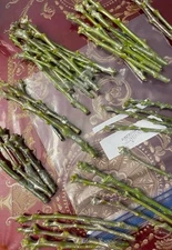 MANGO Scions for GRAFTING -- FRESH! 100+ Varieties Available