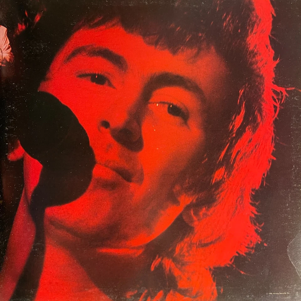 Al Stewart – Live Indian Summer Vinyl, LP 1981 Arista – A2L 8607 Foto 3 de 4