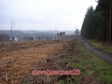 PHOTO  PATH AND STUMPS LITTLE TIMBLE NORTH YORKSHIRE THE PATH IS THE MAIN FOOTPA