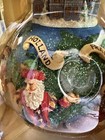Bild 6 von 7