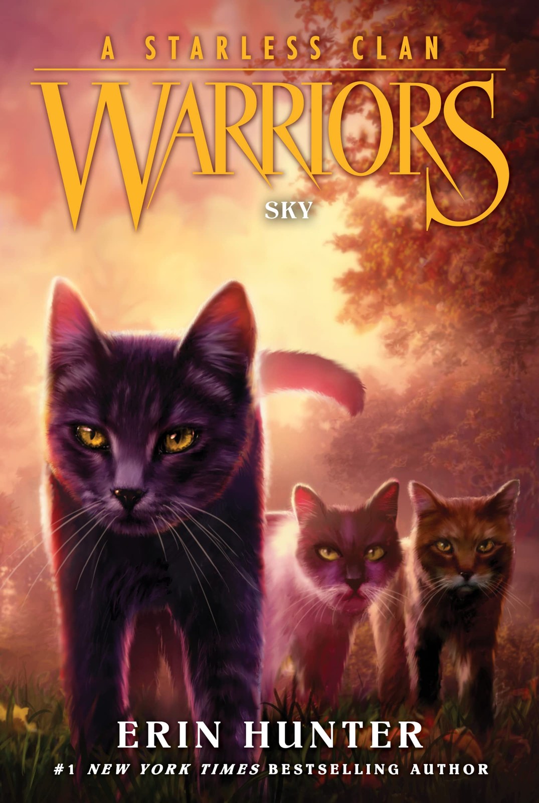 Warriors: A Starless Clan #2: Sky: A #1 Bestselling Fantasy Adventure About Warrior Cats and Clan Survival for Kids (Ages 8-12) - Image 8