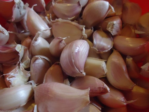 Local Purple Garlic Seeds cloves for Eating & Planting Easy Grow 5-50 Cloves - Picture 5 of 11