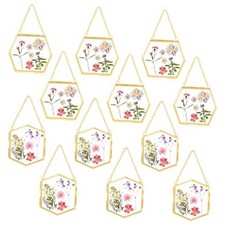 12 Pcs Pressed Flower Glass Picture Frames 3.7" x 3.2" Hanging Double Gold