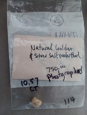 Pearl Natural Conch lovely