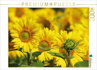 Calvendo Puzzle An Image From The Nature Pictures Calendar | 2000 Pieces, Finish