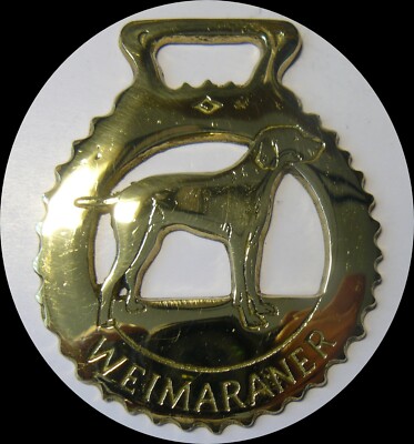 WEIMARANER   Horse brass  (N651)                     (I always combine shipping)