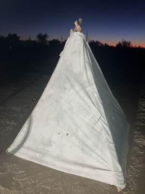 X Large And Large Canine Dog Tee Pee