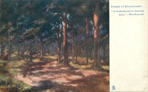 STRATHPEFFER, views, set of six cards, famous literary quotes Tuck 1210 - Picture 6 of 13