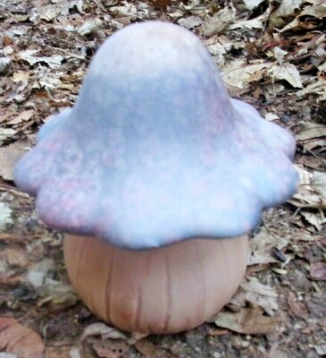 Latex mushroom mold plaster concrete casting mold 4"H x 4"W at top | eBay