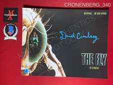 David Cronenberg autographed signed The Fly 11x14 photo Beckett COA horror