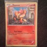 Pokémon Pansear Holo Black Star Promo XY131 XY Basic 60 HP Fury Swipes 2016 Card