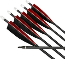 6pcs 31" Mix Carbon Arrows Archery Arrows for Recurve Bow Hunting