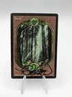 Forest 88/94 | MTG: Unglued | Artist Signed | LP | A