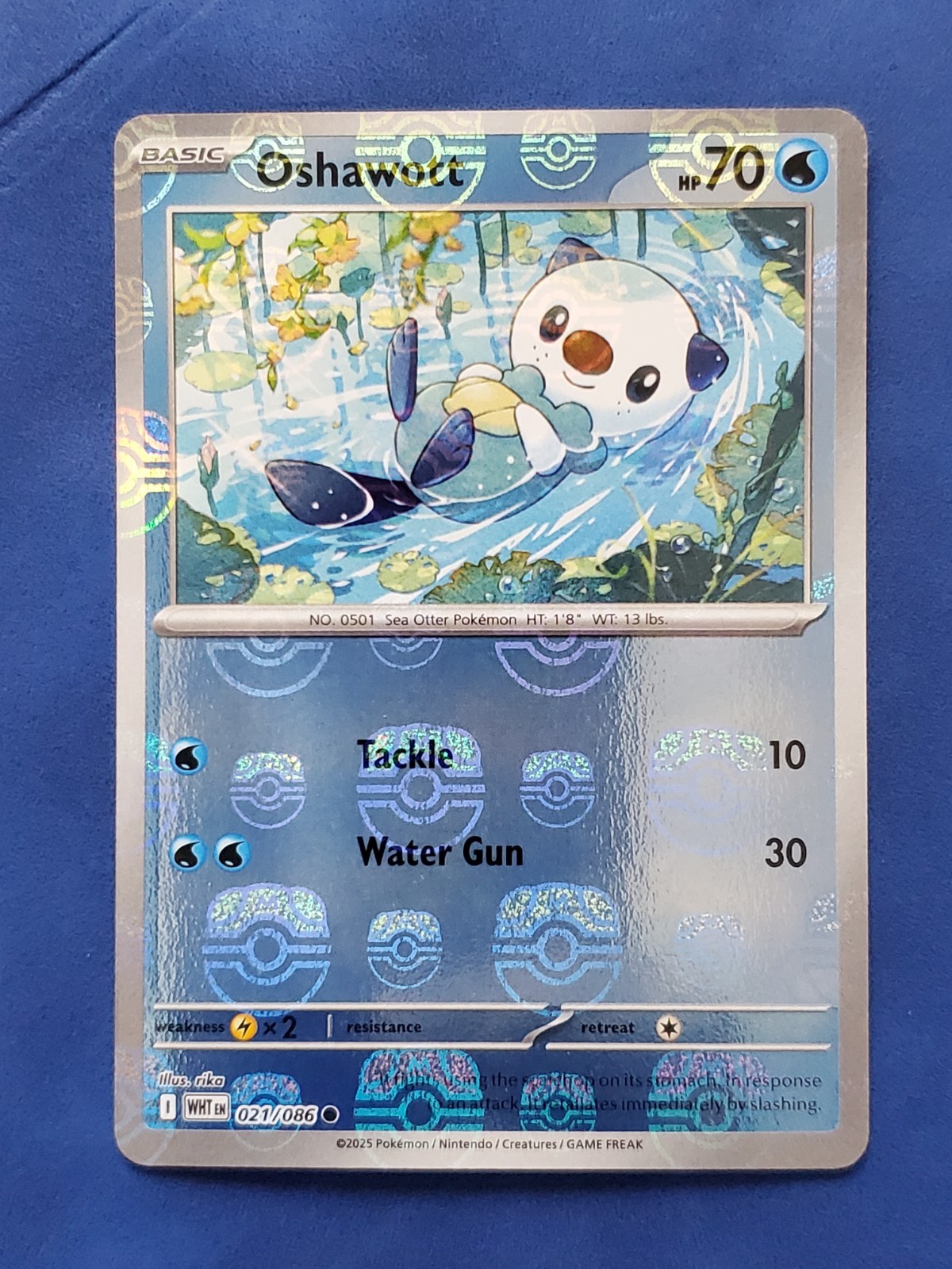 Pokemon White Flare Oshawott Master Ball Pattern 021/086 Holo TCG NM