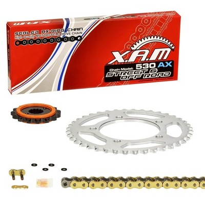 SILENT Kettenkit Kawasaki GPZ 900 R Ninja, Bj. 84-89 (ZX900A); XAM X-Ring GOLD