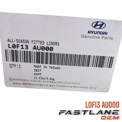 2020-2025 HYUNDAI SONATA FIRST/SECOND-ROW FLOOR MATS NEW OEM L0F13 AU000