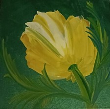 Welsh Poppy : Alla Prima oil painting on Canvas Board