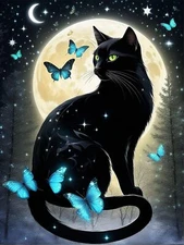 5D Black Cat Diamond Art Kits for Adult Beginners Moon Butterfly Gem Art