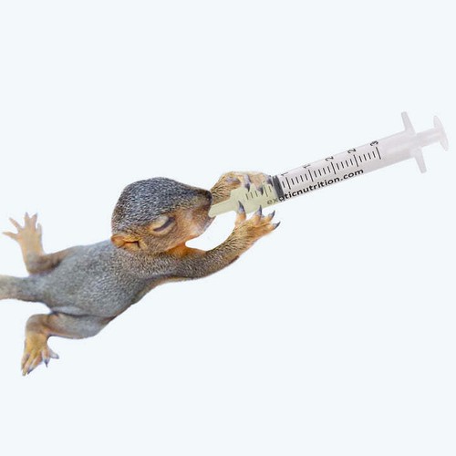 Exotische Ernährung-Baby Tierpflegeset - Milchaustauscherformel, Fütterungsspritze - Bild 10 von 14