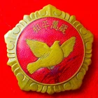 1953 PRC Badge of "Peace Pin for Korean War", Copper & Enamel, Dove, Zeno-356708