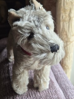 vintage steiff schnauzer tessie mohair 22cm ear button