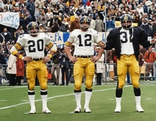 Terry Bradshaw, Rocky Bleier, Franco HArris Pittsburgh Steelers 8x10 Reprint