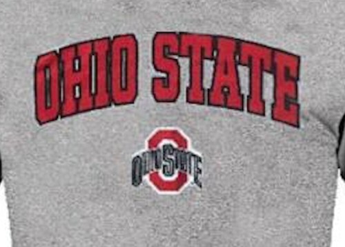 Ohio State Buckeyes Grey Arched Short Sleeve T Shirt by J. America - Picture 2 of 4