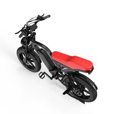 1500W Electric Bike 20" Fat Tire 15AH Removable Battary Adults Mountain E-Bike