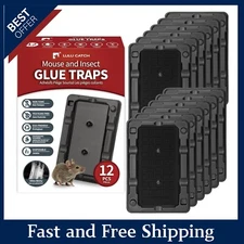 Mouse & Insect Traps 12 Pack,  Heavier Sticky Traps with Non-Toxic Glue for Mice