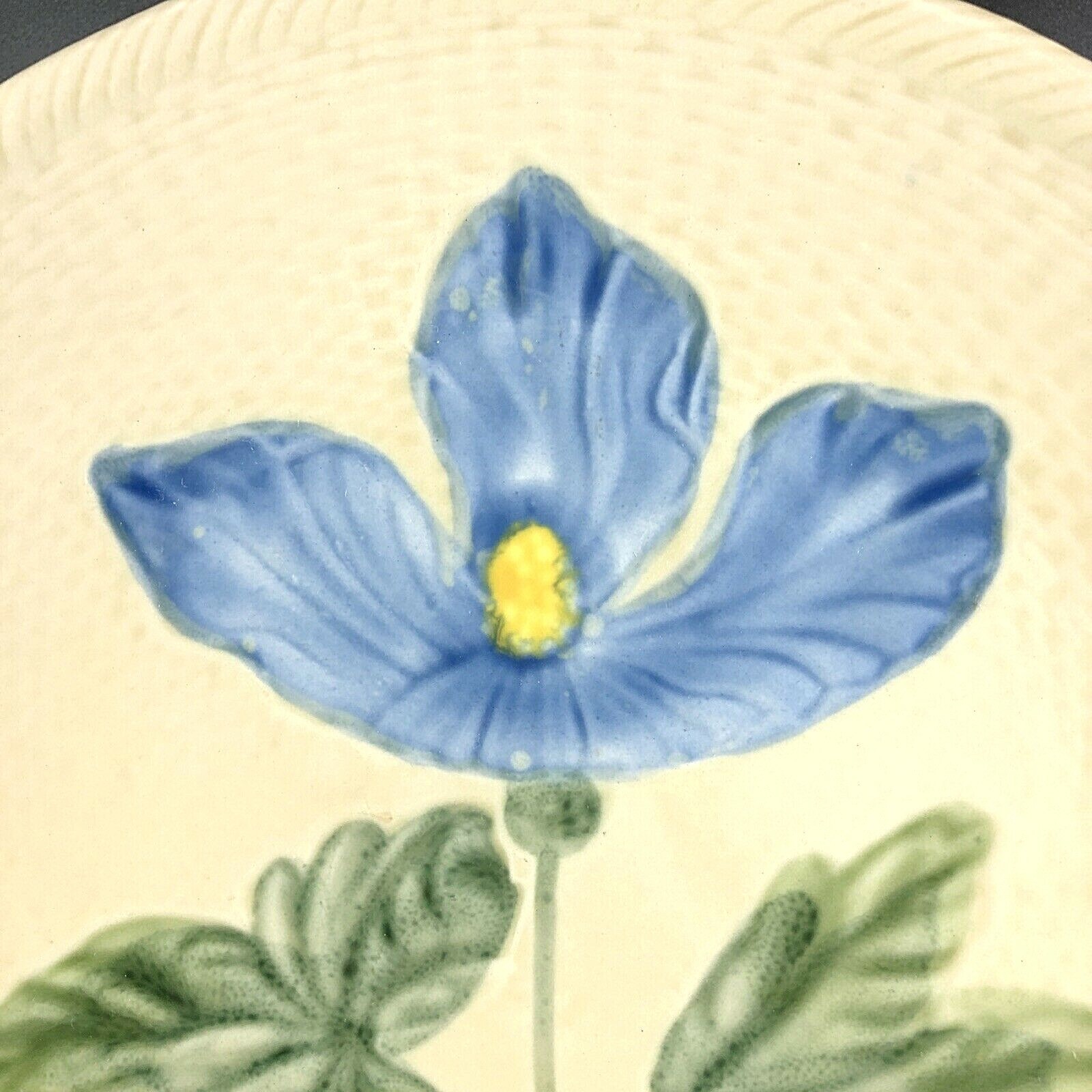 Picture 3 of 7