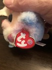 TY Puffies - RAINBOW the Poodle (4 inch) - W/ Tags — photo 6