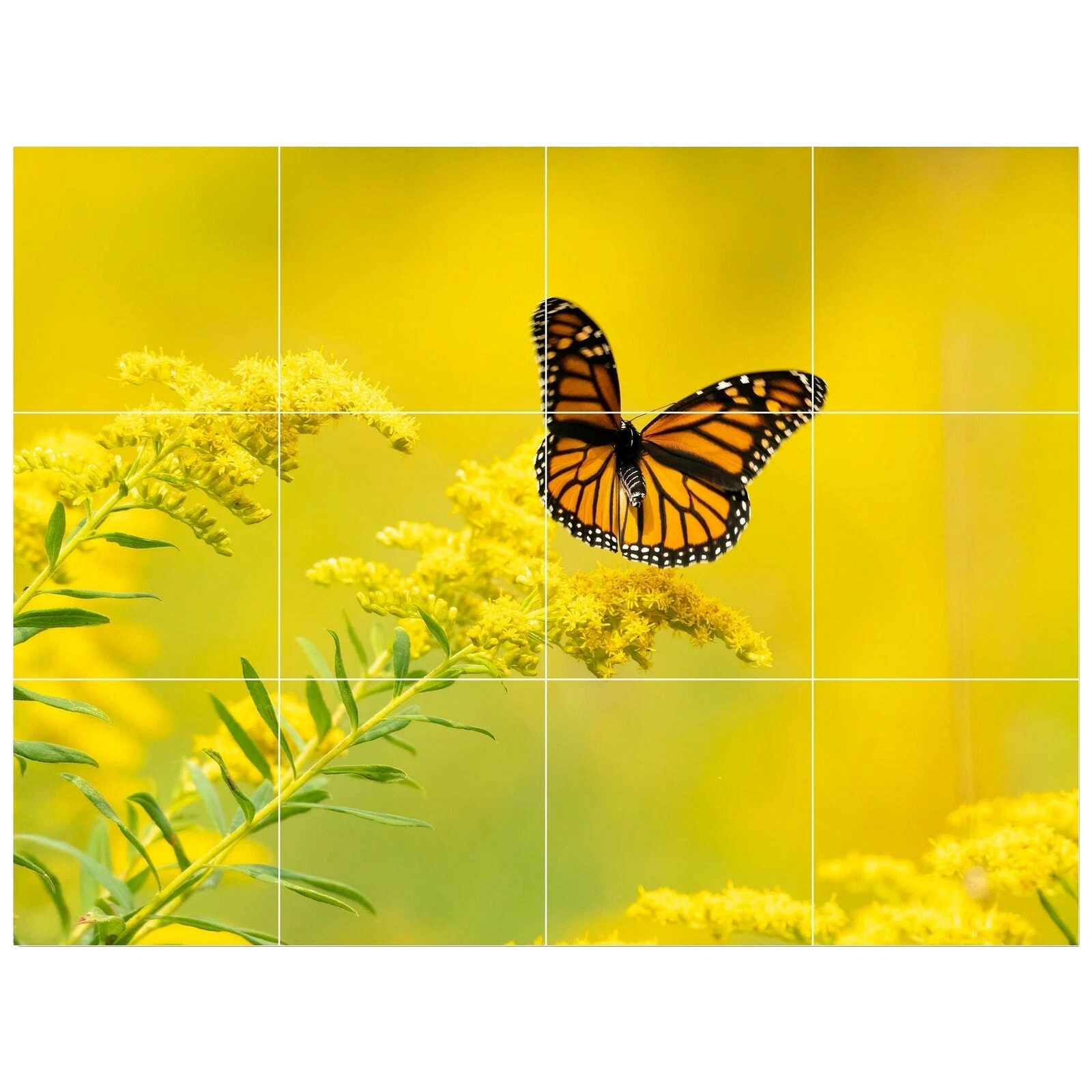 Piso Cuadrado Cuarto de baño y azulejos de la pared