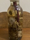 Bild 2 von 12