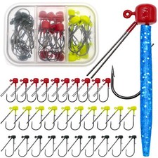 Ghanneey 30pcs Fishing Mushroom Head Jig Ned Rig Jig Hook Kit Fishing Jig Hea...