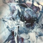 Bild 11 von 12