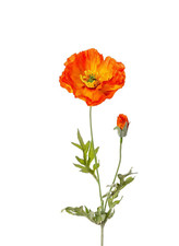 künstlicher Mohn mit Knospe orange 75cm Wiesenblume Kunstblumen Sommerdeko