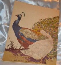 How To Draw and Paint Birds By Lynn Bogue Hunt. 54