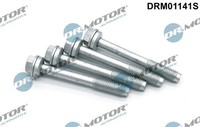 Dr.Motor Automotive DRM01141S Schraube, EinspritzdüSenhalter FüR Opel