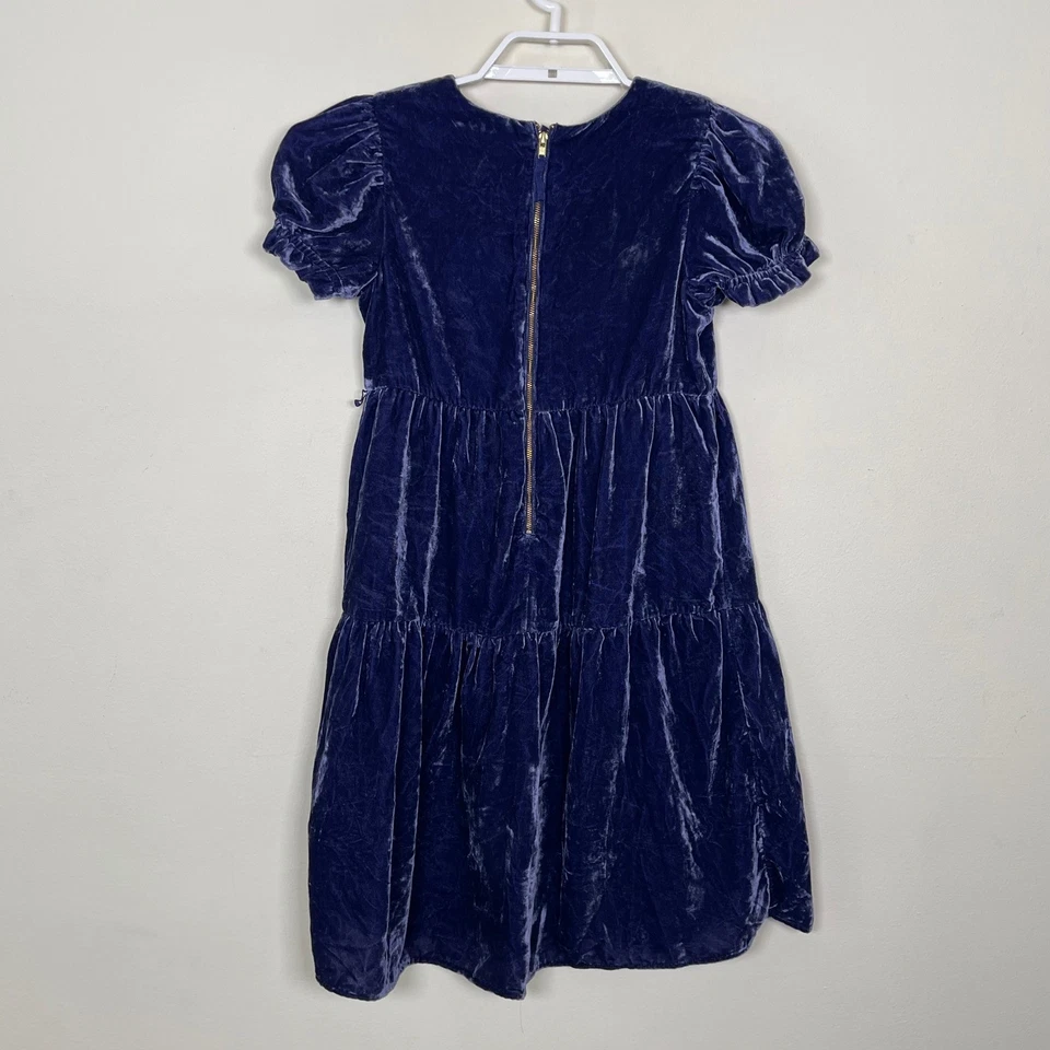 Vestido Crewcuts Niñas En Niveles Terciopelo Púrpura Manga Abullonada Fiesta Vacaciones Talla 10 Foto 4 de 4