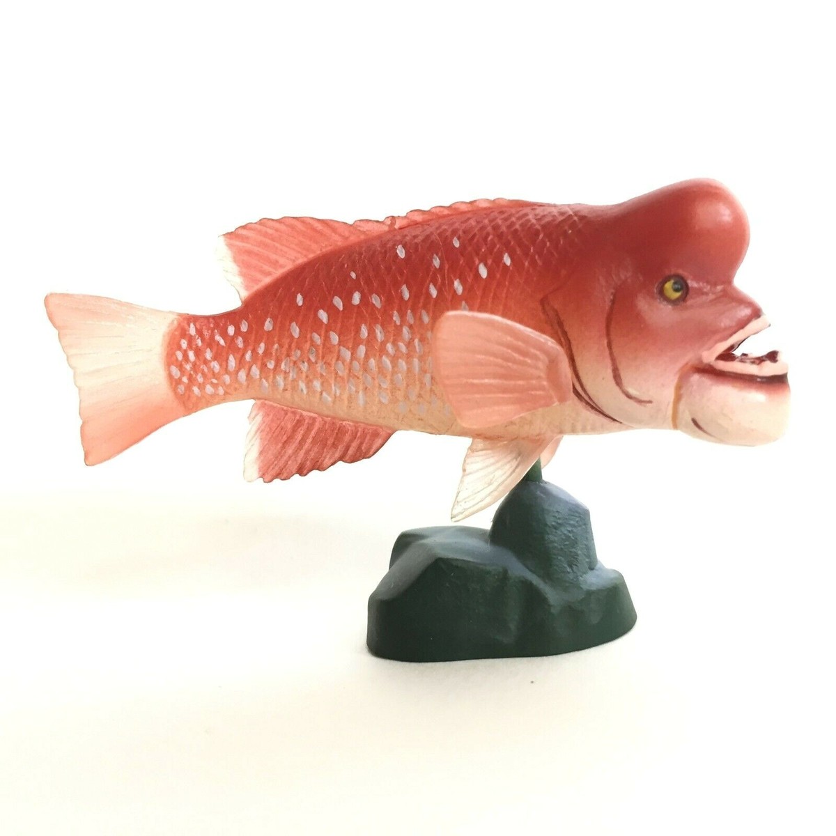 ト*ト様 【世界限定60台】Fish Ciurcuits Exploration ト*ト様 【世界限定60台】Fish Ciurcuits Exploration ト*ト様 【世界