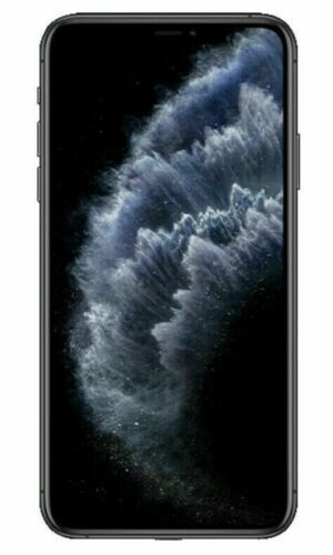 Apple iPhone 11 Pro Max - 64GB - Space Gray Unlocked (NO FACE ID