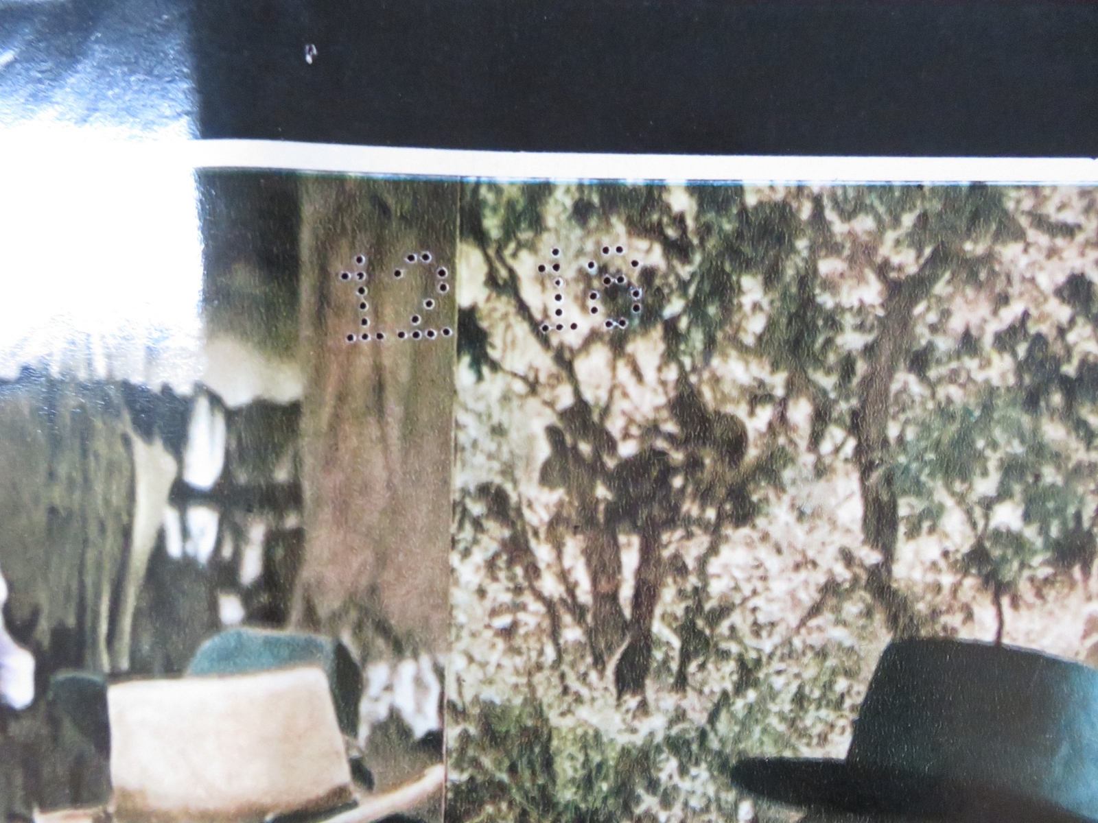 Picture 7 of 8
