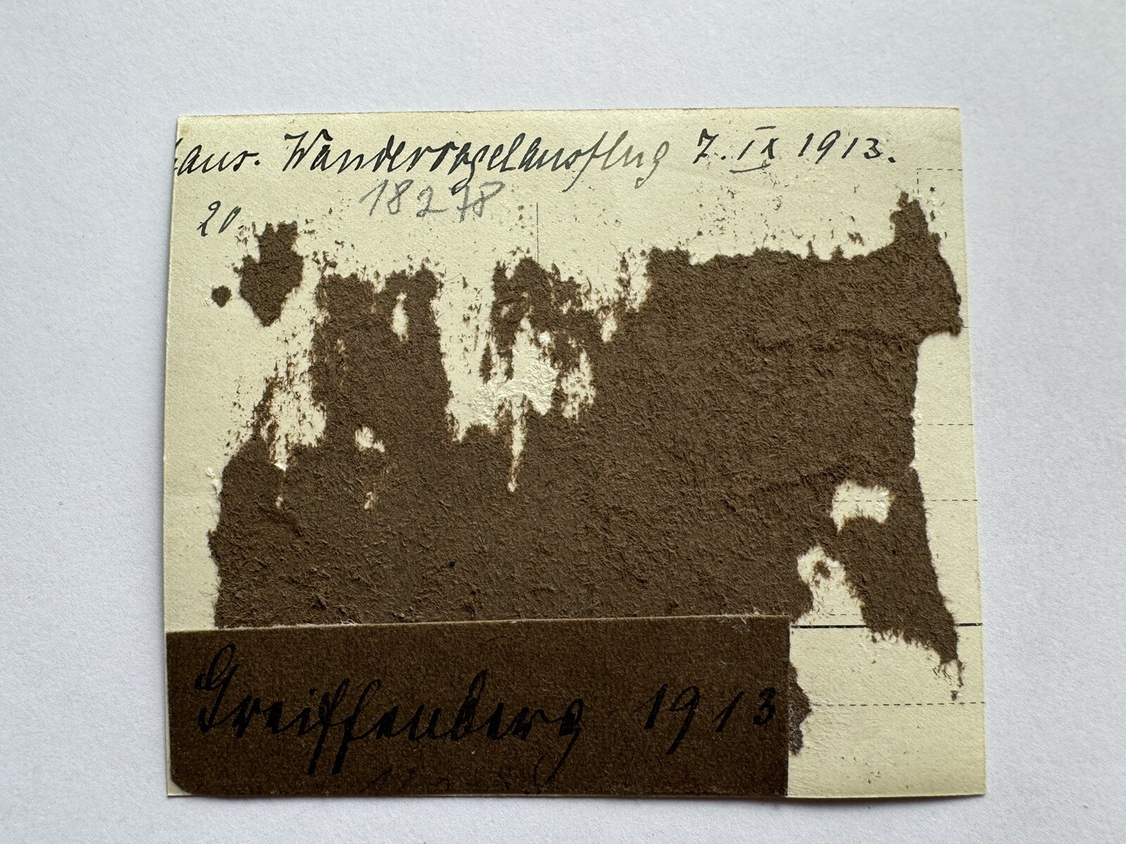 Bild 2 von 2